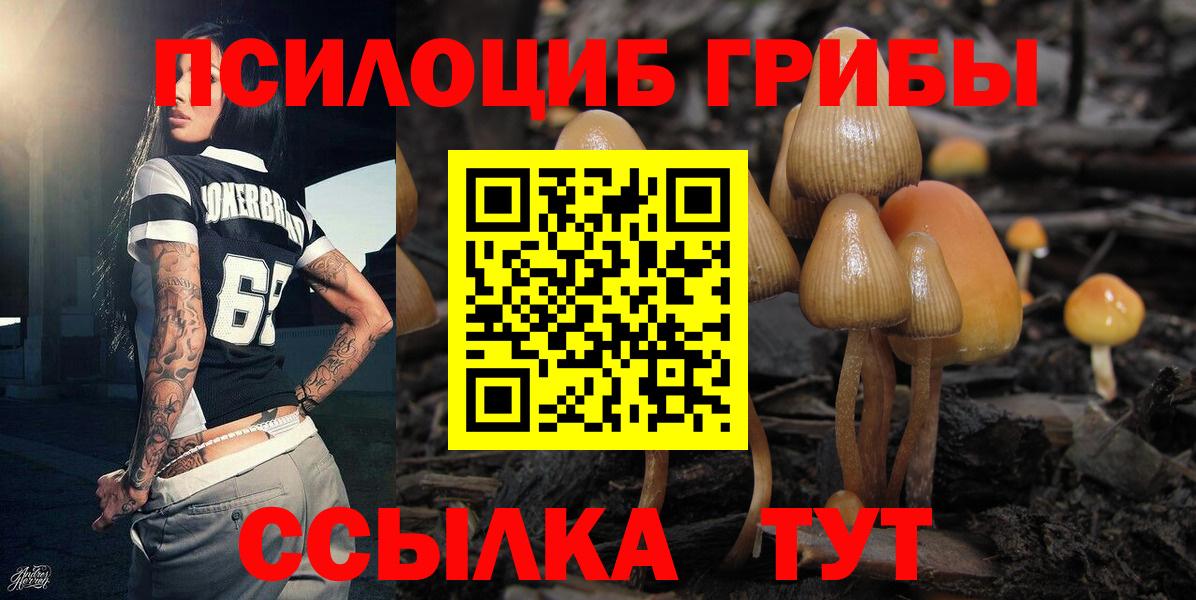Псилоцибиновые грибы Magic Shrooms  Галлюциногенные грибы прущие грибы  купить наркоту  Вход с VPN  Алатырь 